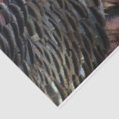 Wild Turkey Feathers I Abstrakt Nature Design Seidenpapier (Ausschnitt)