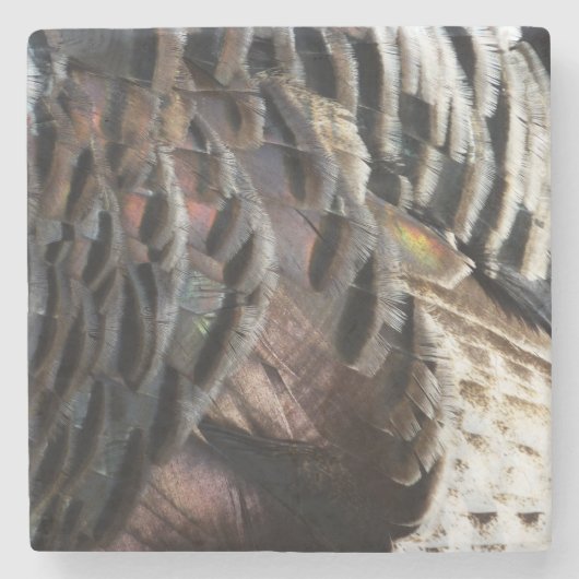Wild Turkey Feathers I Abstrakt Nature Design Steinuntersetzer (Vorderseite)