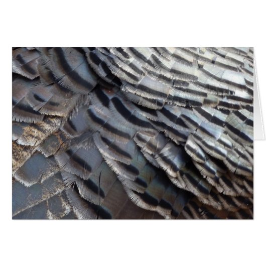 Wild Turkey Feathers II Abstrakte Naturgestaltung (Vorderseite (Horizontal))