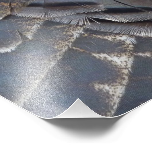 Wild Turkey Feathers II Abstrakte Naturgestaltung Fotodruck (Ecke)