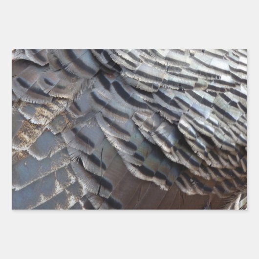 Wild Turkey Feathers II Abstrakte Naturgestaltung Geschenkpapier Set (Vorderseite 2)