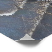 Wild Turkey Feathers II Abstrakte Naturgestaltung Poster (Ecke)