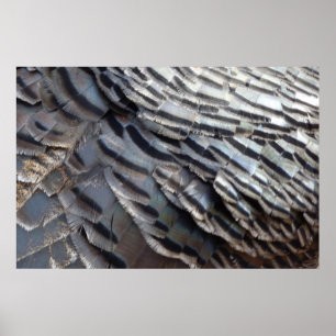 Wild Turkey Feathers II Abstrakte Naturgestaltung Poster