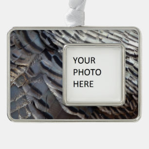 Wild Turkey Feathers II Abstrakte Naturgestaltung Rahmen-Ornament Silber