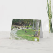 Wild Turkey Feiertagskarte (Vorderseite)