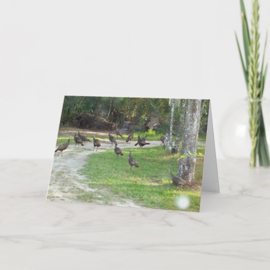 Wild Turkey Feiertagskarte (Vorderseite)