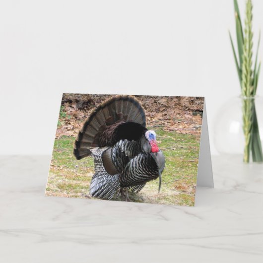 Wild Turkey Feiertagskarte (Vorderseite)
