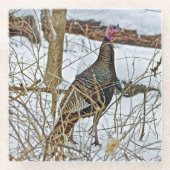 Wild Turkey Glass Untersetzer (Vorderseite)