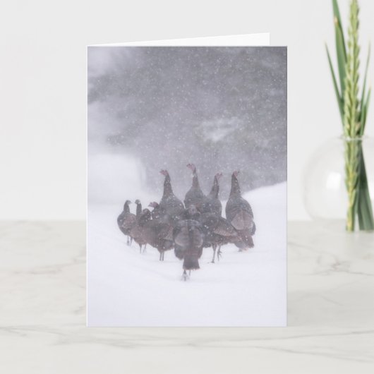 Wild Turkey Grußkarte Karte (Vorderseite)