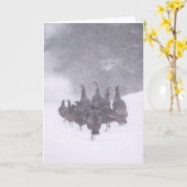 Wild Turkey Grußkarte Karte (Gelbe Blume)