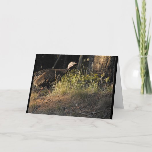 Wild Turkey Grußkarte Karte (Vorderseite)