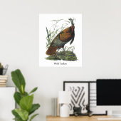 Wild Turkey, John Audubon Poster (Heimbüro)