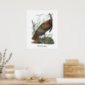 Wild Turkey, John Audubon Poster (Küche)