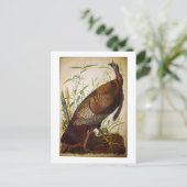 Wild Turkey, John James Audubon Postkarte (Stehend Vorderseite)