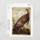 Wild Turkey, John James Audubon Postkarte (Vorne/Hinten)