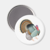 Wild Turkey Magnet (Vorderseite/Rückseite)