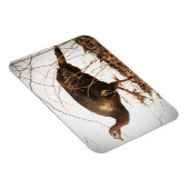 Wild Turkey Magnet (Rechte Seite)