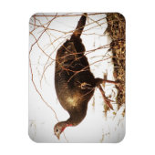 Wild Turkey Magnet (Vertikal)