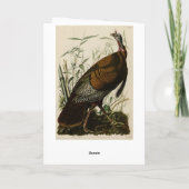 Wild Turkey (Male) from Audubon's Birds of America Karte (Rückseite)
