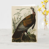 Wild Turkey (Male) from Audubon's Birds of America Karte (Gelbe Blume)