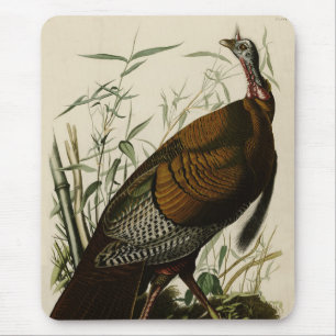 Wild Turkey (Male) from Audubon's Birds of America Mousepad
