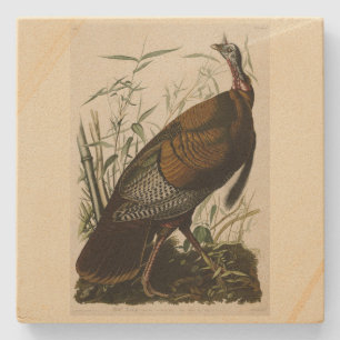Wild Turkey (Male) from Audubon's Birds of America Steinuntersetzer