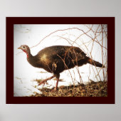 Wild Turkey Poster (Vorne)