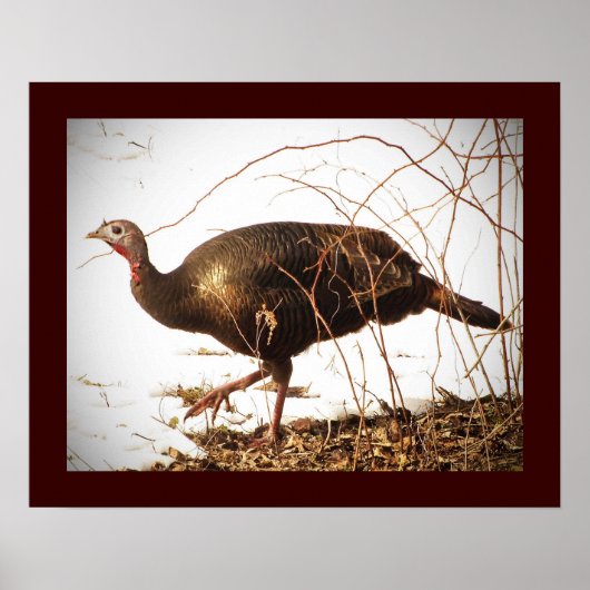 Wild Turkey Poster (Vorne)