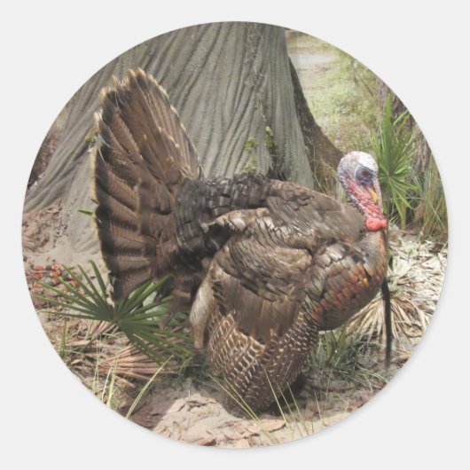 Wild Turkey Stickers (Vorderseite)