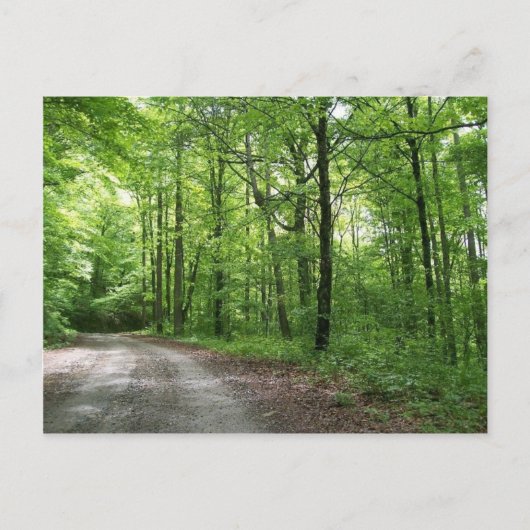Wild u. wunderbar rustikal! postkarte (Vorderseite)