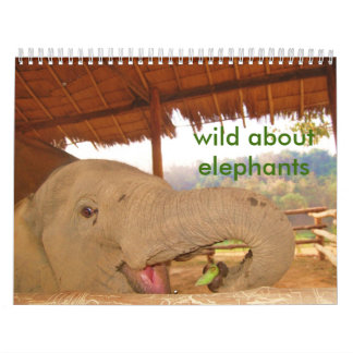 wild über Elefantkalender Kalender