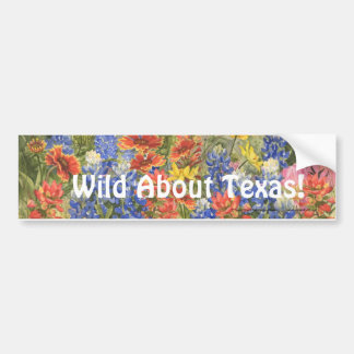 Wild über Texas! Autoaufkleber