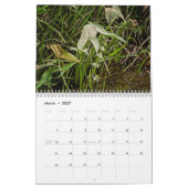 Wild über Wildblumen #1 Kalender (Mär 2027)