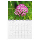 Wild über Wildblumen #1 Kalender (Feb 2027)
