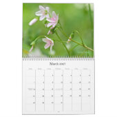 Wild über Wildblumen #2 Kalender (Mär 2027)