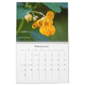 Wild über Wildblumen #2 Kalender (Feb 2027)