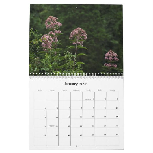Wild über Wildblumen #2 Kalender (Jan 2026)