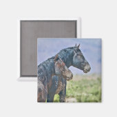 Wild und frei, Magnet (Vorderseite/Rückseite)