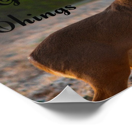 Wild und frei, Thoreau Poster (Ecke)