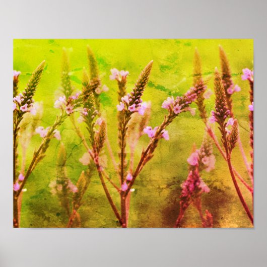 Wild Vervain Blume multiplizierten Blumenkunst Poster (Vorne)