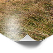 WILD WALES FOTODRUCK (Ecke)