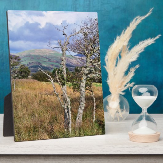 WILD WALES FOTOPLATTE (Seite)