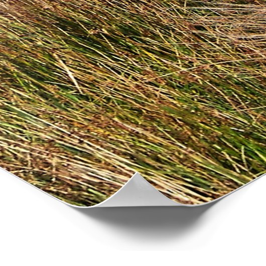 WILD WALES POSTER (Ecke)