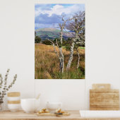 WILD WALES POSTER (Küche)