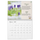 Wild Walks 2027 Kalender (Feb 2027)