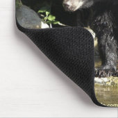 WILD WARRIORS Black Bar Foto Collection Mousepad (Ecke)