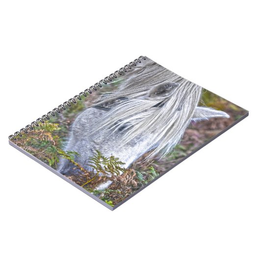 Wild Weiß New Forest Pony Weiden auf Bracken Notizblock (Linke Seite)