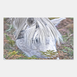 Wild Weiß New Forest Pony Weiden auf Bracken Rechteckiger Aufkleber