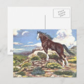 Wild West 4 Postkarte (Vorne/Hinten)