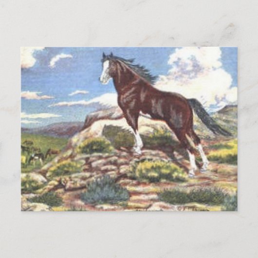 Wild West 4 Postkarte (Vorderseite)